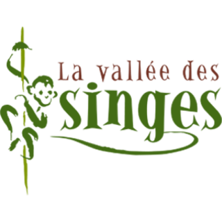 La vallée des singes
