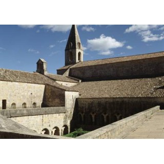 Abbaye de Montmajour - Visite du monument