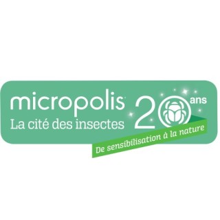 Micropolis