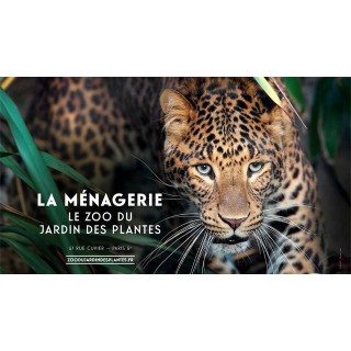 La ménagerie, le zoo du Jardin des Plantes
